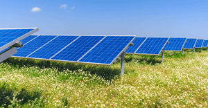 Quintas Cleantech puts solar energy at the heart of Britain’s recovery - opt
