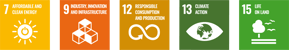 Our Values - SDG_Environmental Impact