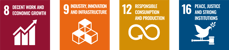Our Values - SDG_Governance Impact